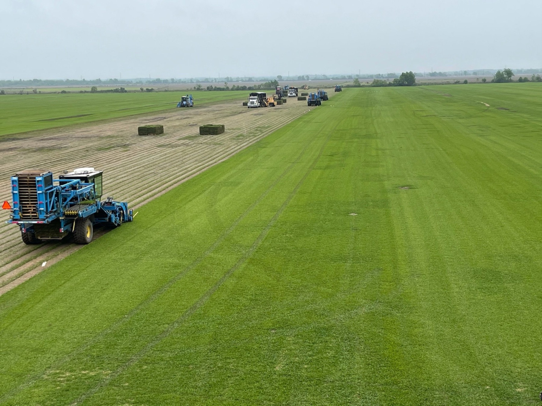 Sod being harvested in the field at the farm that grows Monmouth Sod turf